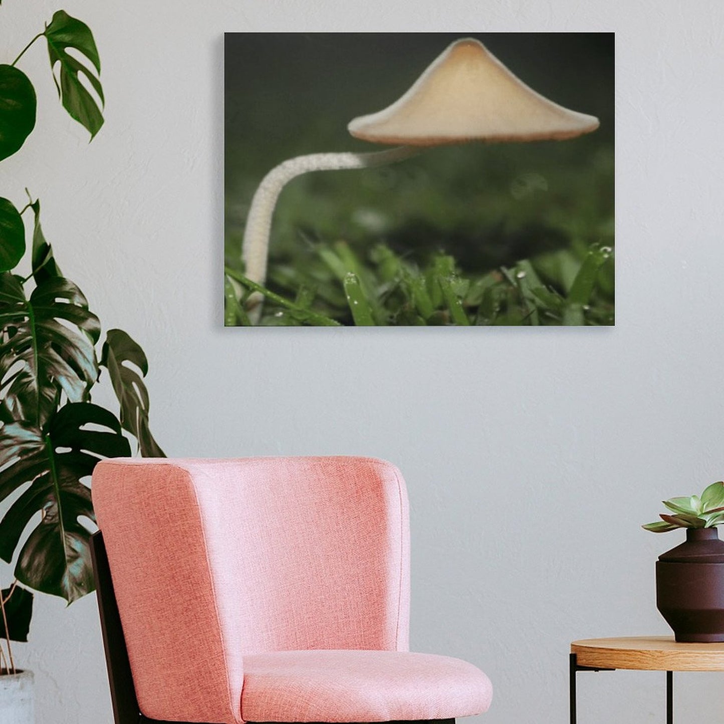 Mushroom Canopy Picture Frame Canvas Print 40×30cm (Horizontal)