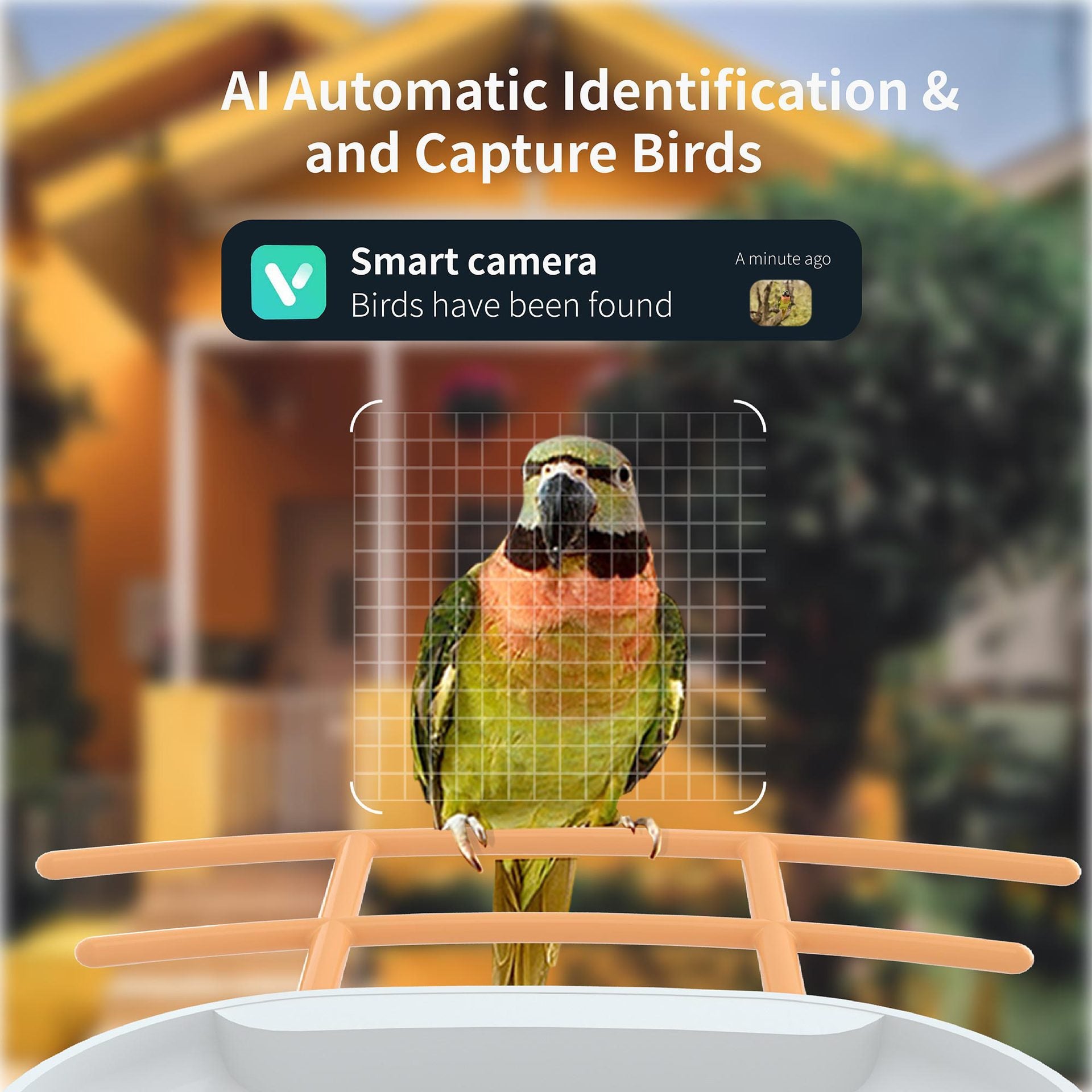 VIDEO BIRD FEEDER - CAMERA Smart Bird Feeder Camera Solar Battery Outdoor Wireless AI Recognizable Bird Feeder