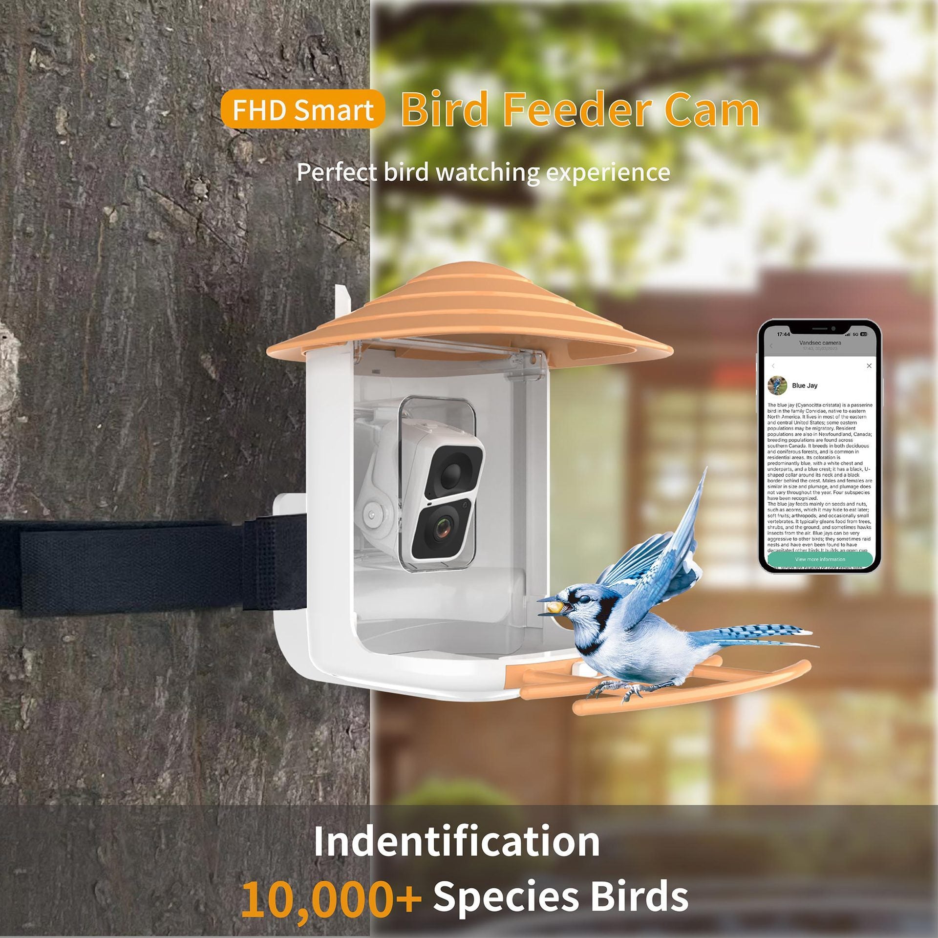 VIDEO BIRD FEEDER - CAMERA Smart Bird Feeder Camera Solar Battery Outdoor Wireless AI Recognizable Bird Feeder