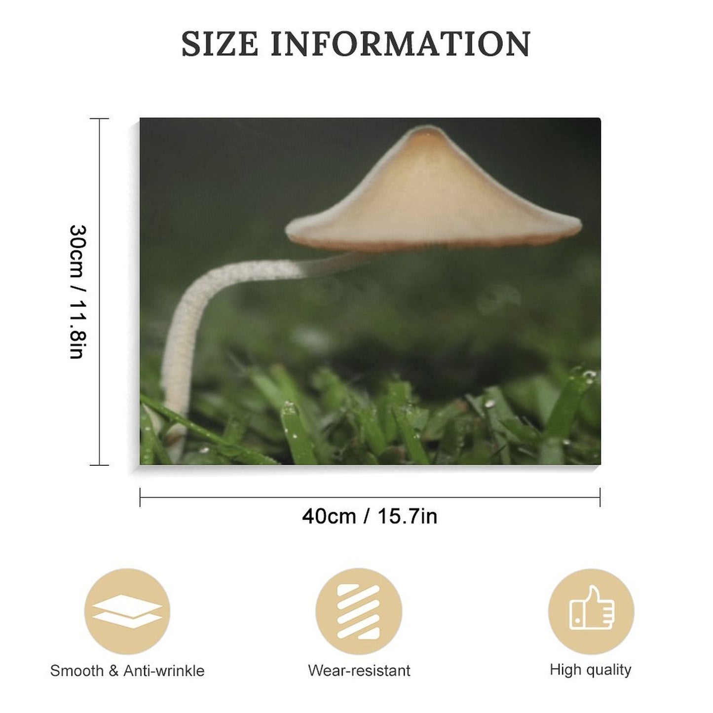 Mushroom Canopy Picture Frame Canvas Print 40×30cm (Horizontal)