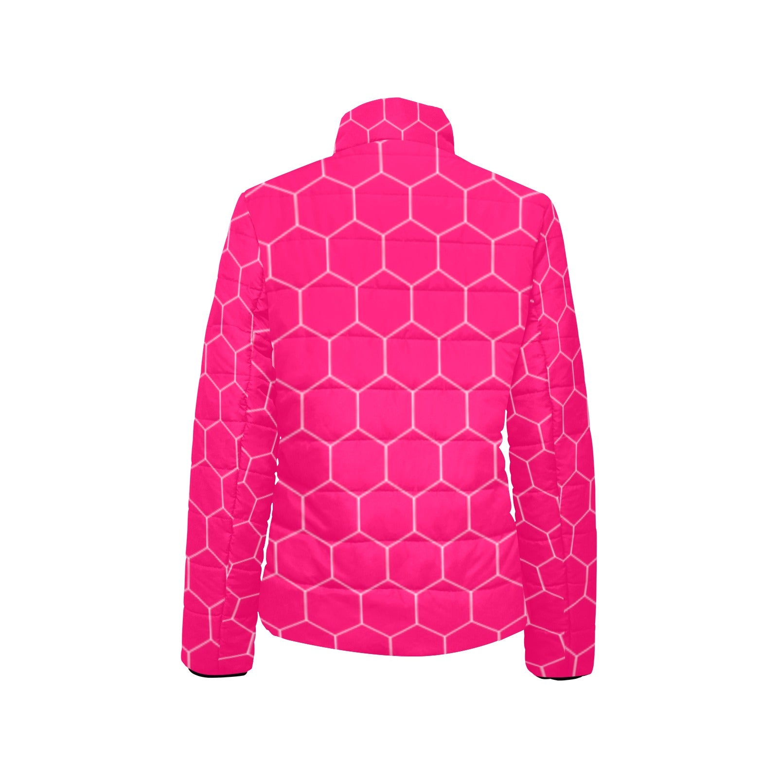 KSC's Exclusive  Women's Stand Collar Padded Jackets (10) Designs/Styles - Women's stand collar padded jacket(H41)