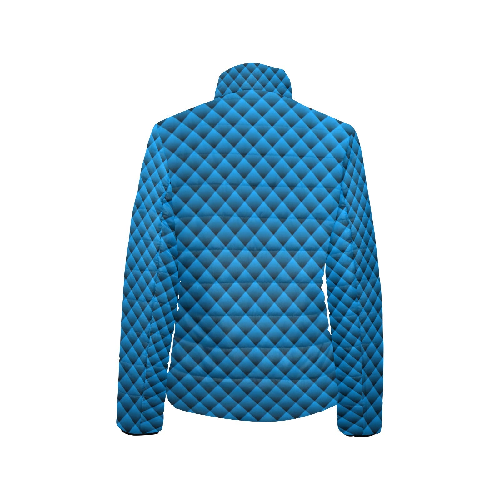 KSC's Exclusive  Women's Stand Collar Padded Jackets (10) Designs/Styles - Women's stand collar padded jacket(H41)