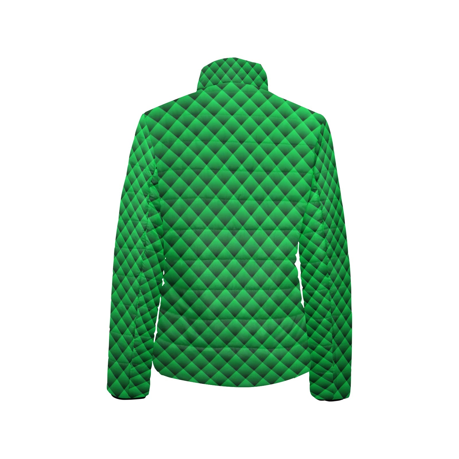 KSC's Exclusive  Women's Stand Collar Padded Jackets (10) Designs/Styles - Women's stand collar padded jacket(H41)
