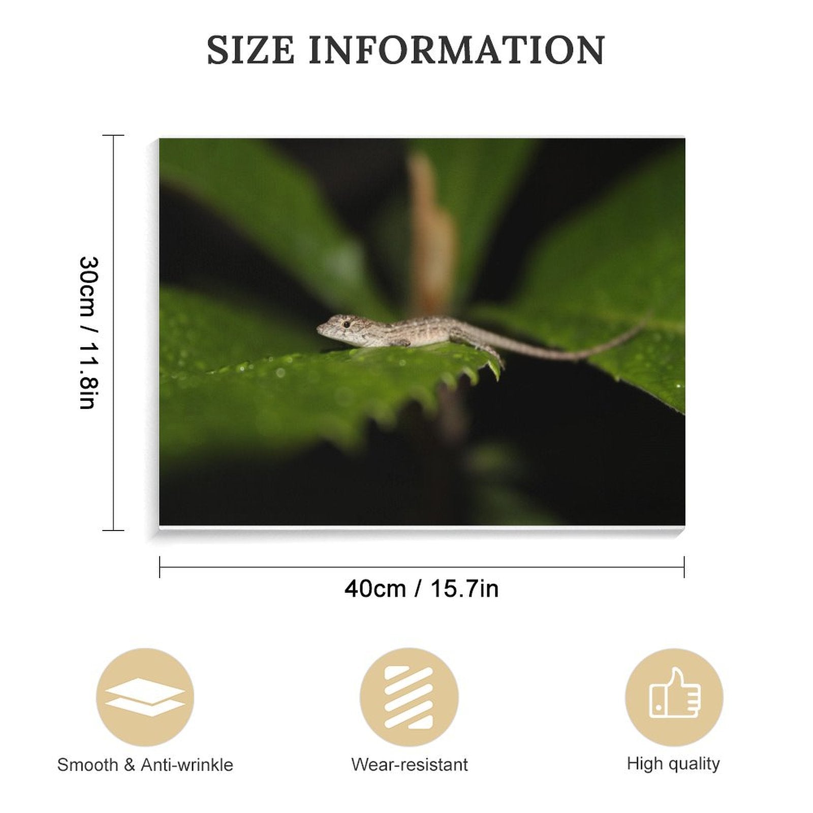 Leaf Lounge: The Lizard’s Retreat Hanging picture Frame Canvas Print 40×30cm (Horizontal)