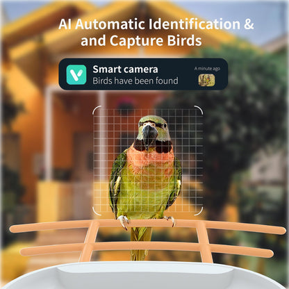 VIDEO BIRD FEEDER - CAMERA Smart Bird Feeder Camera Solar Battery Outdoor Wireless AI Recognizable Bird Feeder