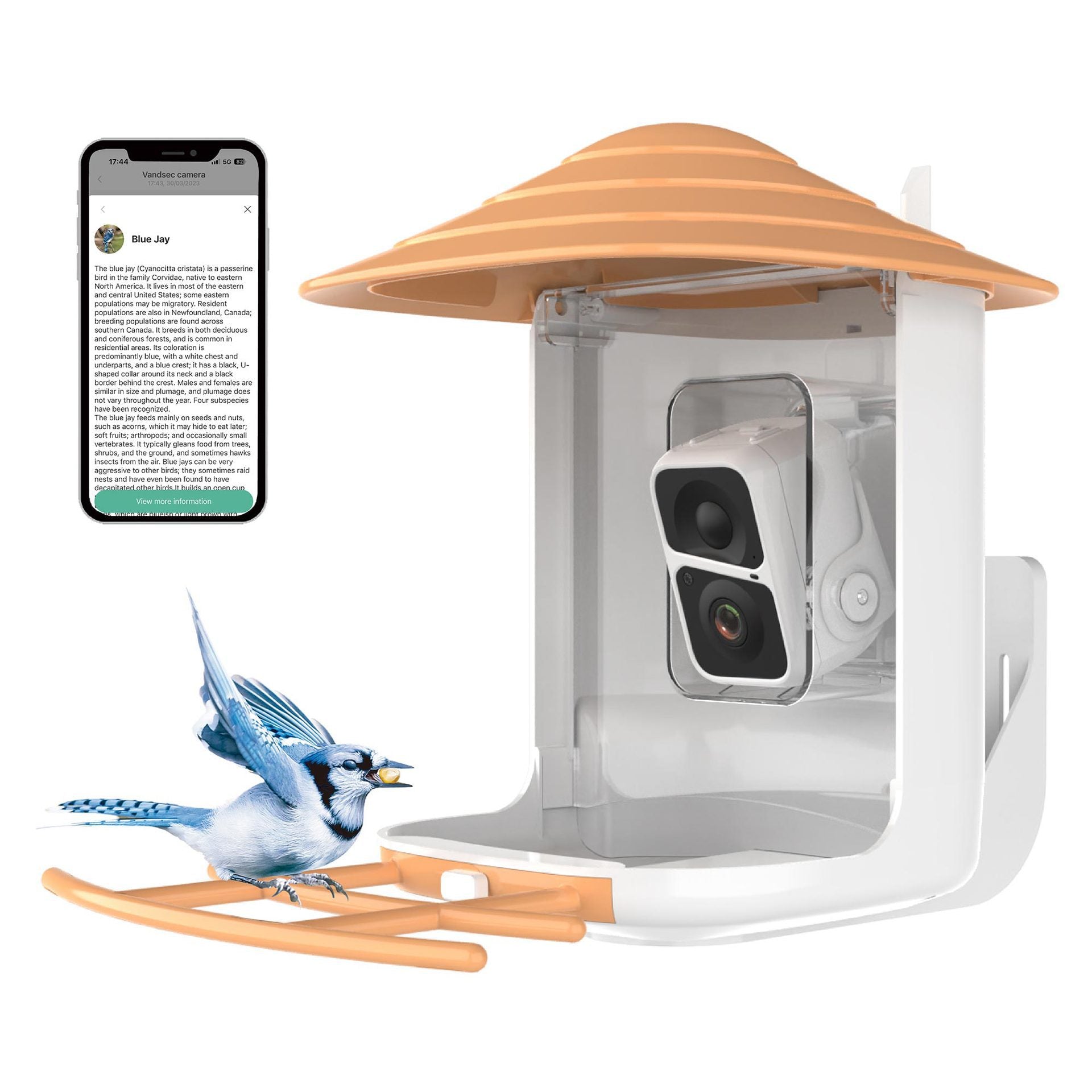 VIDEO BIRD FEEDER - CAMERA Smart Bird Feeder Camera Solar Battery Outdoor Wireless AI Recognizable Bird Feeder