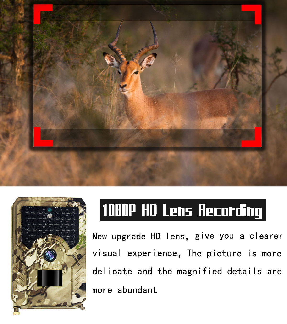 OUTDOOR CAMERA - CAMO CAMERA HIDDEN CAMERA PR200 HD 1080P Outdoor Camera