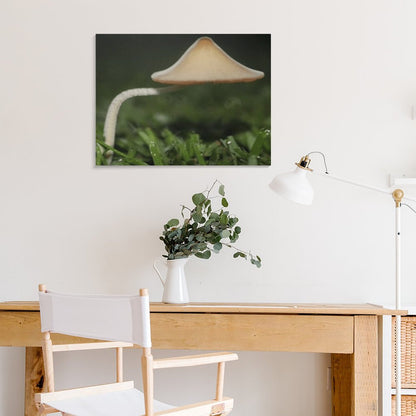 Mushroom Canopy Picture Frame Canvas Print 40×30cm (Horizontal)