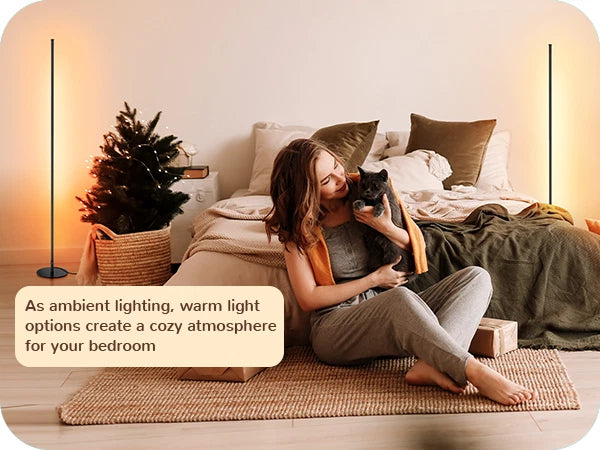 Nordic line lights, Instagram style, minimalist living room, bedroom, bedside decorative lights, personalized long strip wall corner lights, LED floor lights